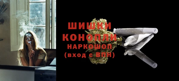 дмт Верея