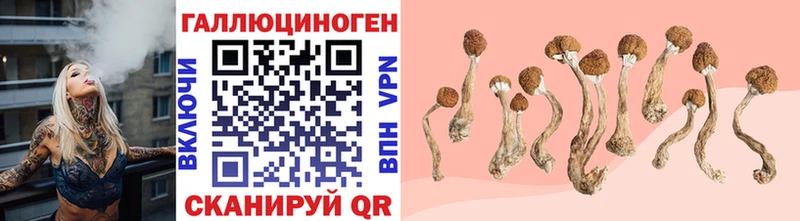 Галлюциногенные грибы мицелий  Лысково 